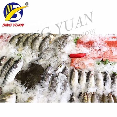 Grosir Kinerja Tinggi Flake Ice Maker Hemat Energi Mesin Flake Ice