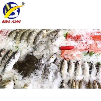 Mesin Es Serpihan Salju Yixing ICS Berkinerja Tinggi di Kapal Penangkap Ikan