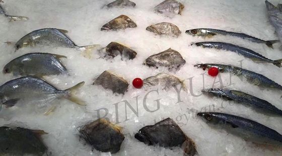 Mesin Es Flake Kapasitas 30 Ton Harian, Penghemat Energi-Pembuat Es Otomatis