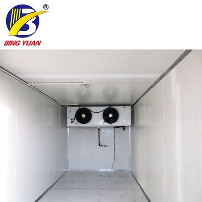 Ruang Dingin Kontainer Tenaga Surya 120mm Komersial, Penyimpanan Makanan Ruang Dingin
